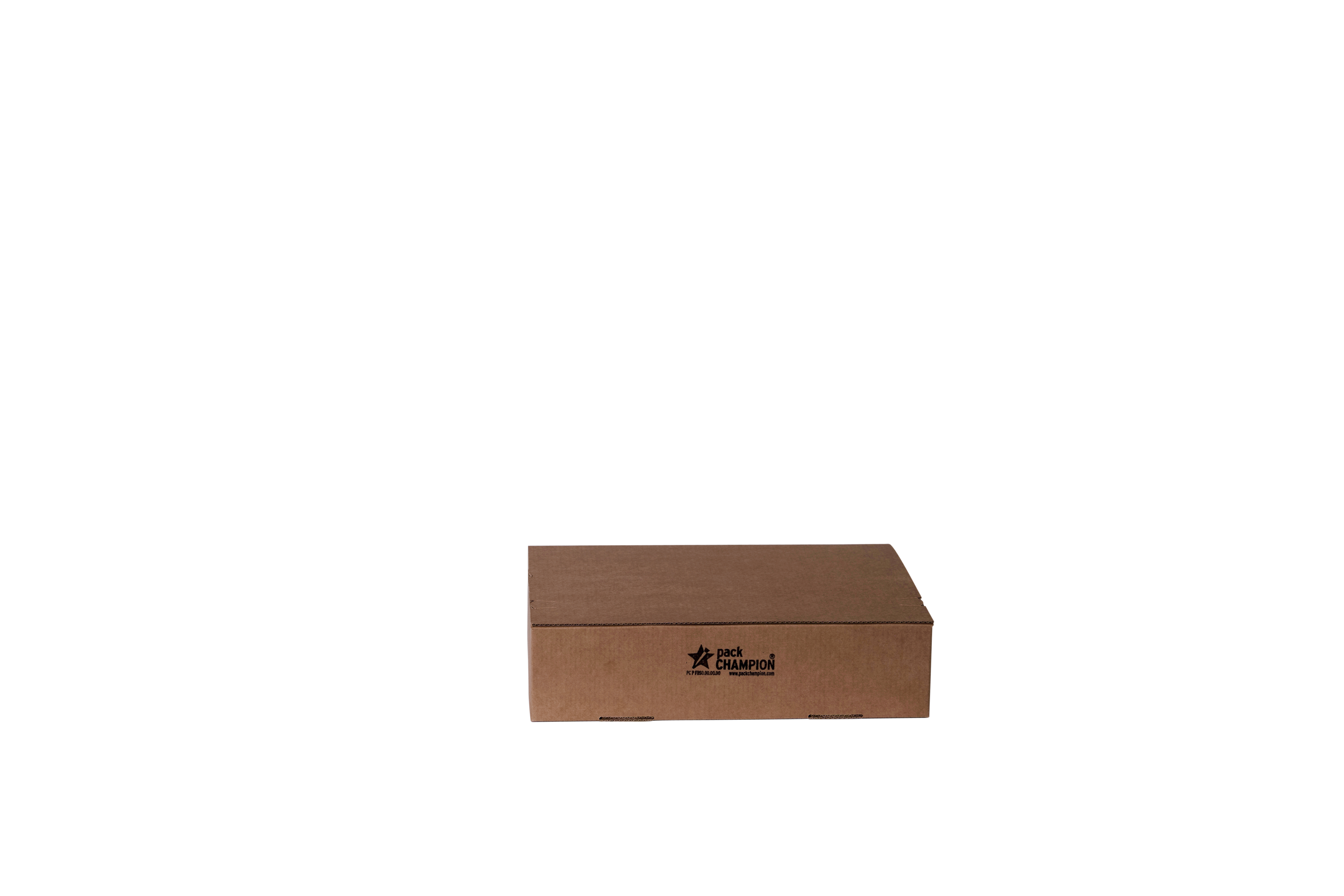 FBS FIXBOX STANDARD met zelfklevende sluiting en scheurstrip 230x160x70 mm